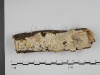 登錄號:F0001216藏品圖，第1張