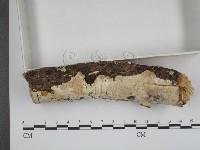 登錄號:F0001216藏品圖，第3張
