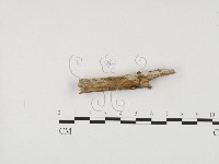 登錄號:F0001217藏品圖，第3張