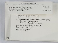 登錄號:F0001218藏品圖，第2張