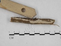 登錄號:F0001218藏品圖，第1張