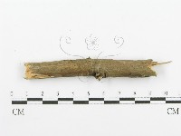 登錄號:F0001218藏品圖，第4張