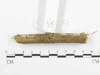 登錄號:F0001218藏品圖，第5張