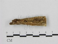 登錄號:F0001219藏品圖，第1張