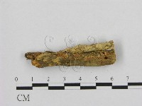 登錄號:F0001219藏品圖，第3張