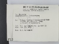 登錄號:F0001221藏品圖，第2張