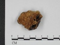登錄號:F0001221藏品圖，第1張