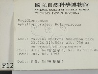 登錄號:F0001224藏品圖，第2張