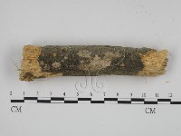 登錄號:F0001224藏品圖，第3張