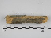 登錄號:F0001224藏品圖，第1張