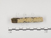 登錄號:F0001225藏品圖，第1張