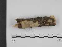登錄號:F0001226藏品圖，第1張