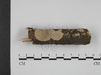 登錄號:F0001226藏品圖，第3張