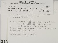 登錄號:F0001227藏品圖，第2張