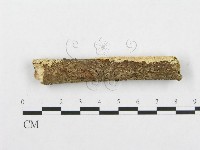 登錄號:F0001227藏品圖，第4張