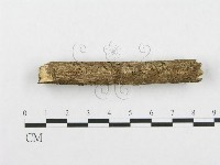 登錄號:F0001227藏品圖，第5張