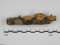 登錄號:F0001228藏品圖，第3張