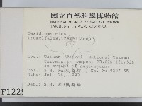 登錄號:F0001229藏品圖，第2張
