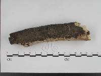 登錄號:F0001229藏品圖，第3張