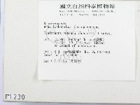 登錄號:F0001230藏品圖，第2張