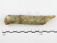 登錄號:F0001230藏品圖，第1張