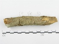 登錄號:F0001230藏品圖，第3張