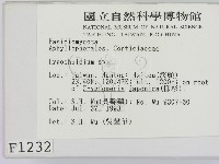 登錄號:F0001232藏品圖，第2張