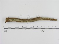 登錄號:F0001232藏品圖，第1張