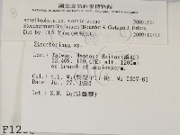 登錄號:F0001233藏品圖，第2張