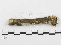 登錄號:F0001233藏品圖，第4張