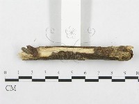 登錄號:F0001233藏品圖，第5張