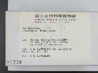 登錄號:F0001234藏品圖，第2張
