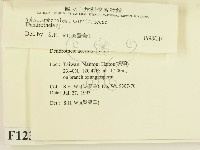 登錄號:F0001236藏品圖，第2張