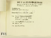 登錄號:F0001236藏品圖，第3張