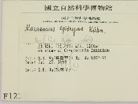 登錄號:F0001237藏品圖，第2張