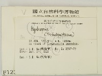 登錄號:F0001238藏品圖，第2張