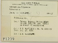 登錄號:F0001239藏品圖，第2張