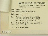 登錄號:F0001239藏品圖，第3張