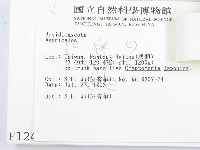 登錄號:F0001240藏品圖，第3張