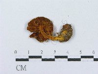 登錄號:F0001240藏品圖，第4張