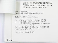 登錄號:F0001243藏品圖，第3張