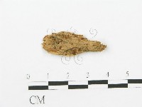 登錄號:F0001243藏品圖，第1張