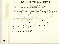 登錄號:F0001244藏品圖，第2張