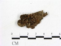 登錄號:F0001244藏品圖，第1張