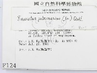 登錄號:F0001246藏品圖，第2張