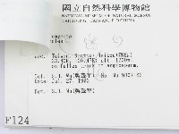 登錄號:F0001246藏品圖，第3張
