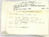 登錄號:F0001247藏品圖，第2張