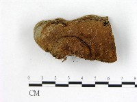 登錄號:F0001247藏品圖，第3張