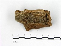 登錄號:F0001247藏品圖，第4張