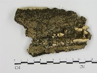 登錄號:F0001250藏品圖，第3張